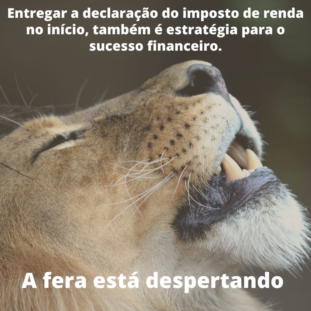 Entregar a declaração do imposto de renda no início, também é estratégia para o sucesso financeiro.