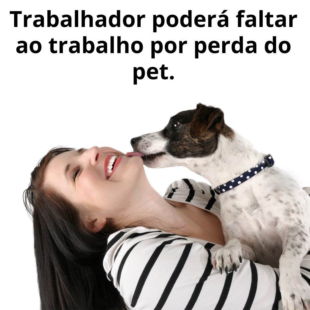 Trabalhador poderá faltar ao trabalho por perda do pet.
