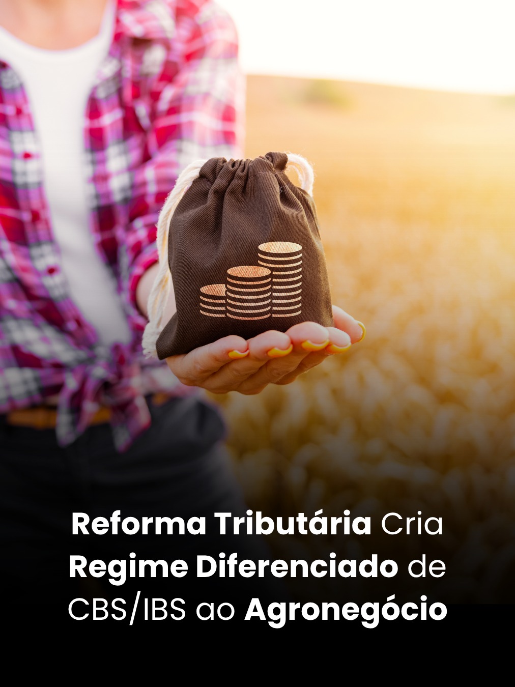 Reforma Tributária Cria Regime Diferenciado de CBS/IBS ao Agronegócio
